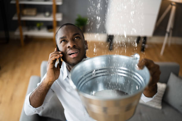 Best 24/7 water damage repair  in Cobden, IL