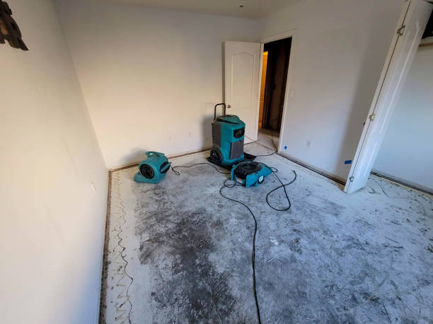 Best Residential water damage restoration  in Cobden, IL