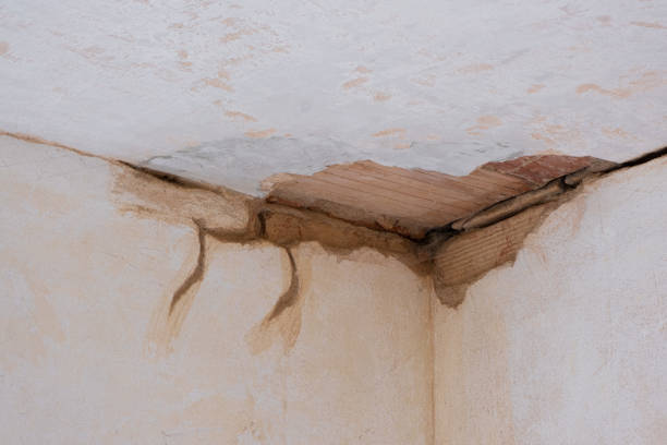 Best Water damage restoration insurance claims  in Cobden, IL
