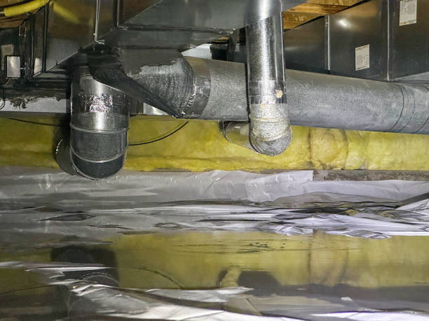 Best Emergency water extraction  in Cobden, IL