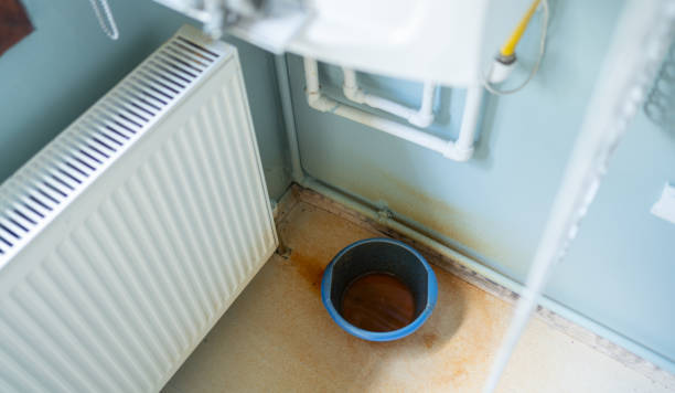 Best Mold removal after water damage  in Cobden, IL