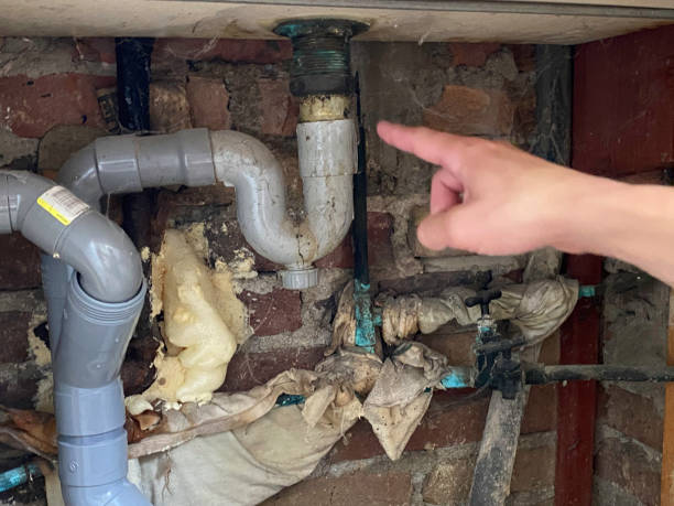 Carpet water damage restoration in Cobden, IL